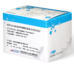柯薩奇A16病毒RNA檢測(cè)試劑盒（PCR熒光法）_艾康生物技術(shù)（杭州）有限公司.png