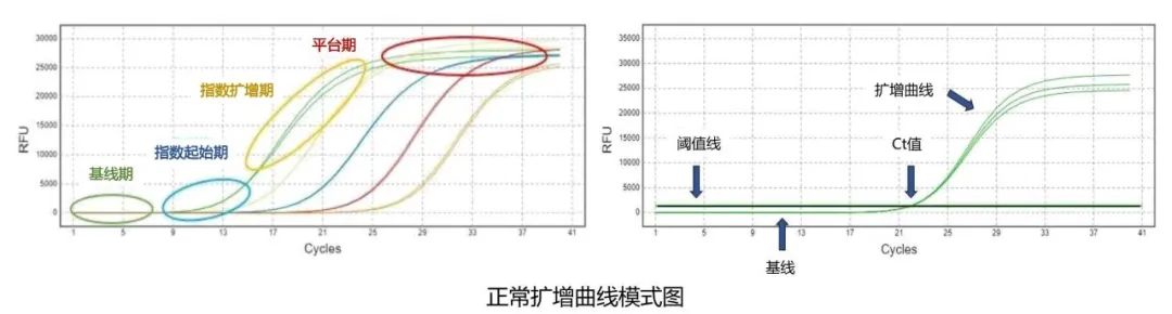 微信圖片_20220214084822.jpg