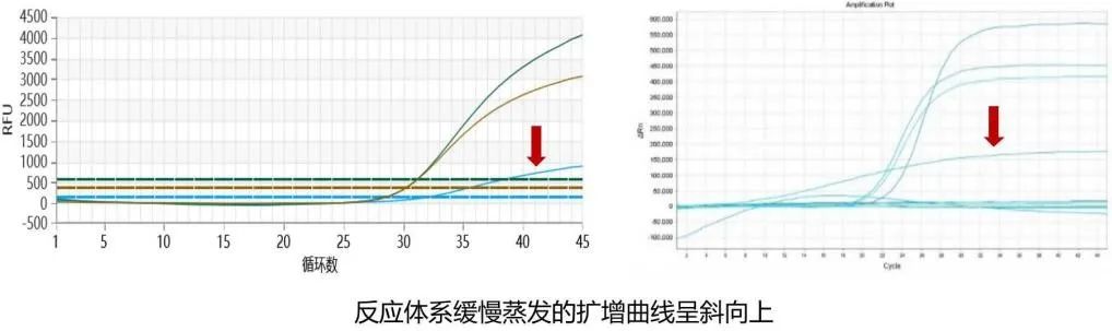 微信圖片_20220214084856.jpg