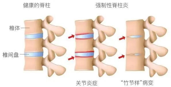 微信圖片_20221024091544.jpg